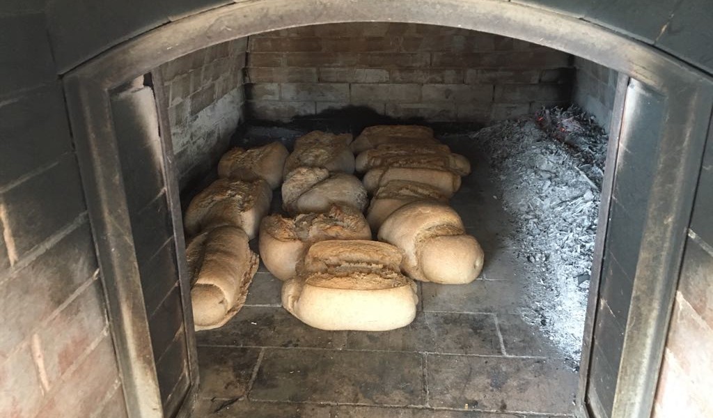 Masseria Murgia Albanese - forno a legna