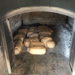 Masseria Murgia Albanese - forno a legna